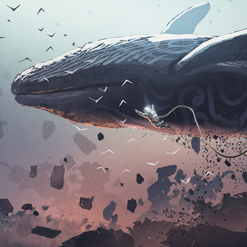 拯救鲸落——如鲸落海底，一念百草生，一念山河成.jpg