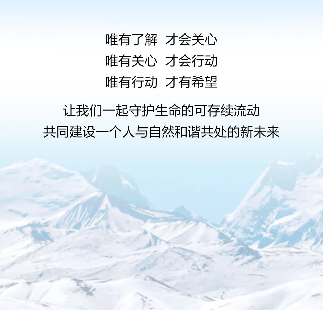 s19nibx15xdnbrn7mtgkcb1br22ogr317443.jpg