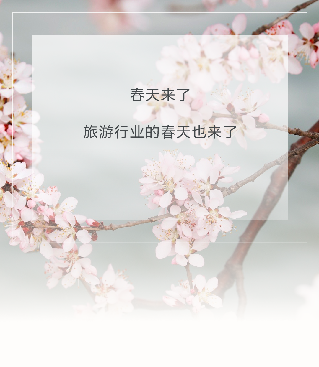 149ee2t84zj8qxsmzlnb5x461zfarg557936.png