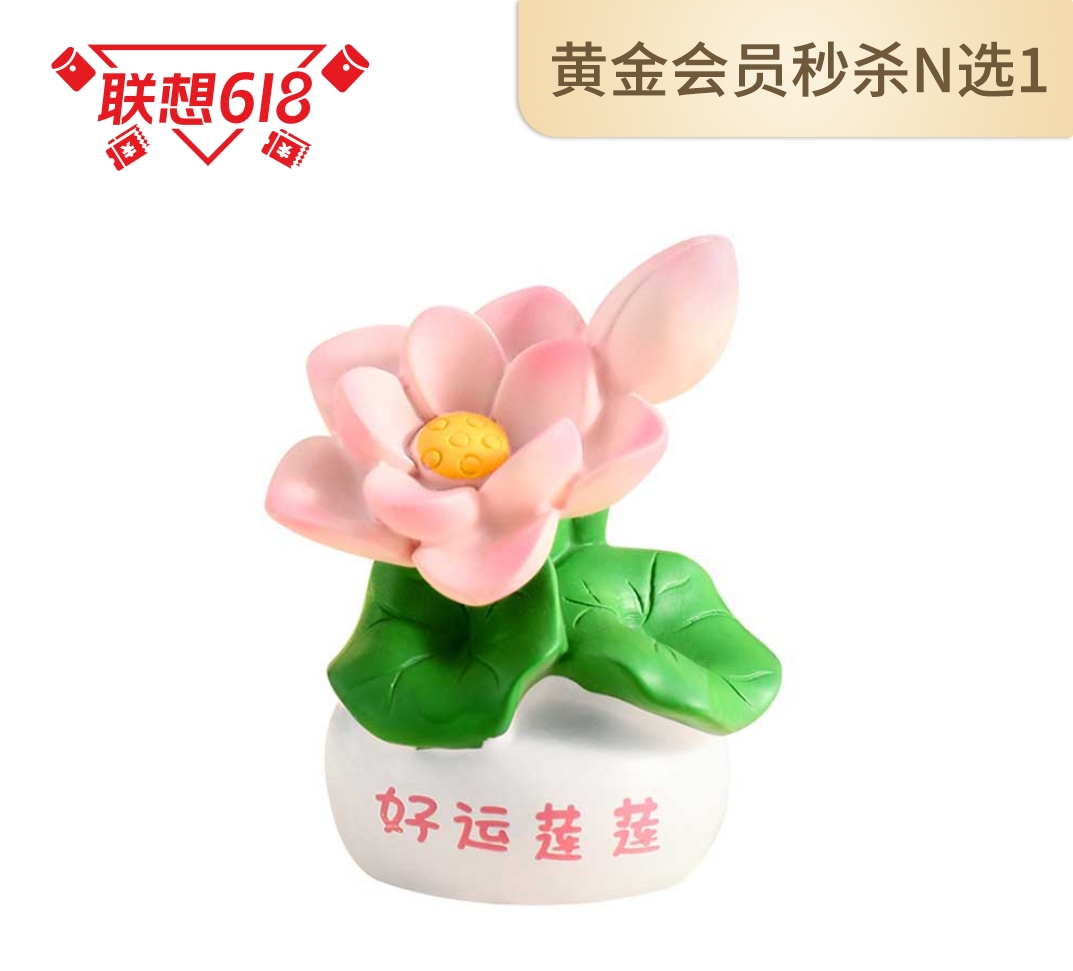 创意植物摆件