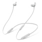 Beats X 入耳式耳机 哑光银图片