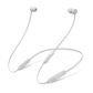 BeatsX 入耳式耳机 丝缎银图片