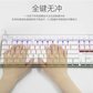 樱桃CHERRY MX8.0 G80-3880HYAEU-0 机械键盘有线键盘游戏键盘87键背光键盘白色樱桃青轴图片