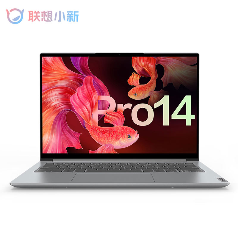 2021款 小新 Pro 14 锐龙版 14.0英寸 轻薄笔记本电脑 亮银