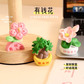 豆瓜创意治愈系发财植物摆件图片