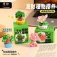 豆瓜创意治愈系发财植物摆件图片