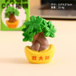 豆瓜创意治愈系发财植物摆件图片